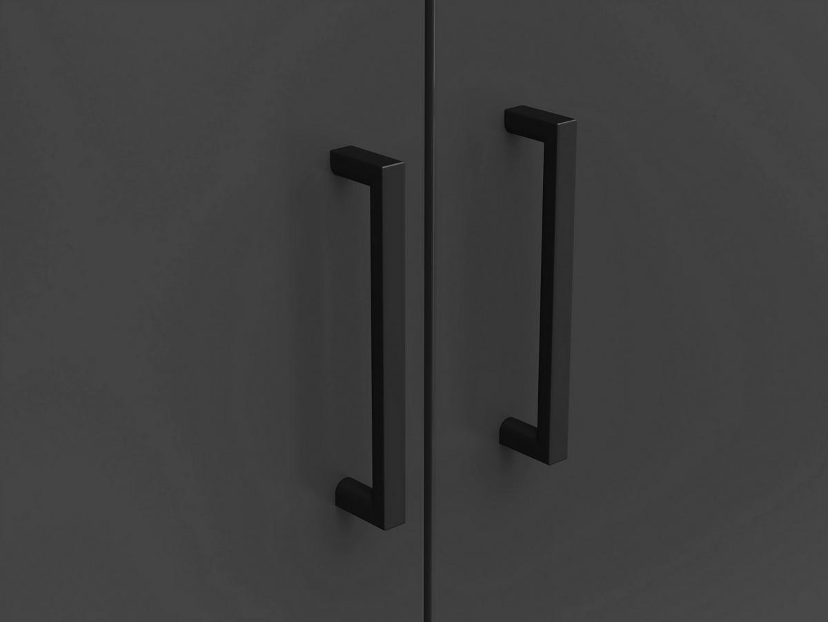 Skriňa MULTISTAURAUM š: 80 cm - čierna/grafitová, Modern, kompozitné drevo/plast (80/147/40cm)