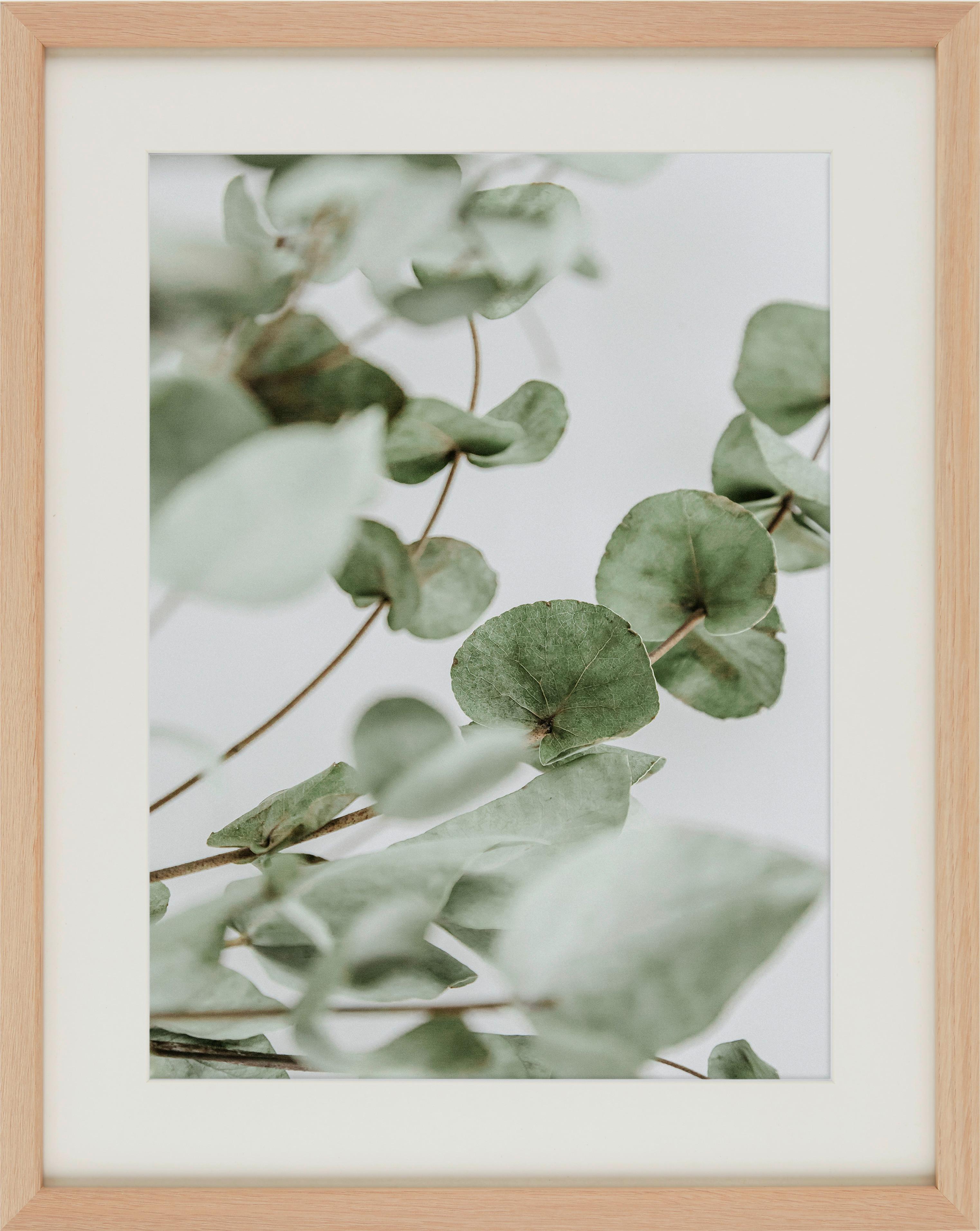 RÁM NA OBRAZY Gitta 40x50 cm - barvy dubu, dřevo/kompozitní dřevo (40/50cm) - Modern Living