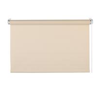 Rollo Win Sandfarben B: 120 cm - Sandfarben, Basics, Textil (120/160cm)