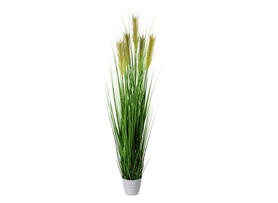Dekogras Otto 145 cm - Grün, Natur, Kunststoff (145cm) Dekogras Otto 145 cm - Grün, Natur, Kunststoff (145cm)