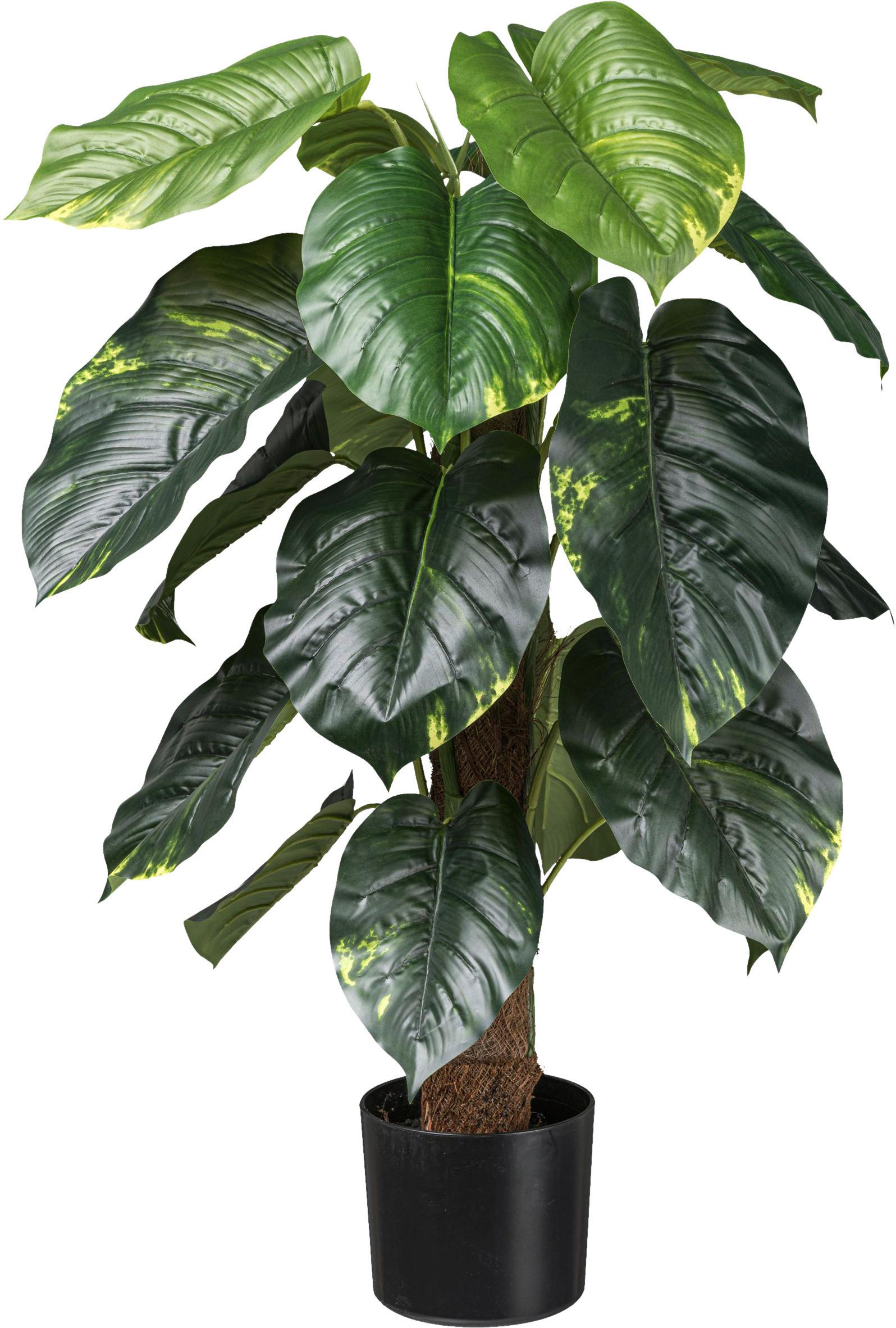 Kunstpflanze Philodendron H: 90 cm - Schwarz/Braun, Design, Naturmaterialien/Kunststoff (90cm) - P & B
