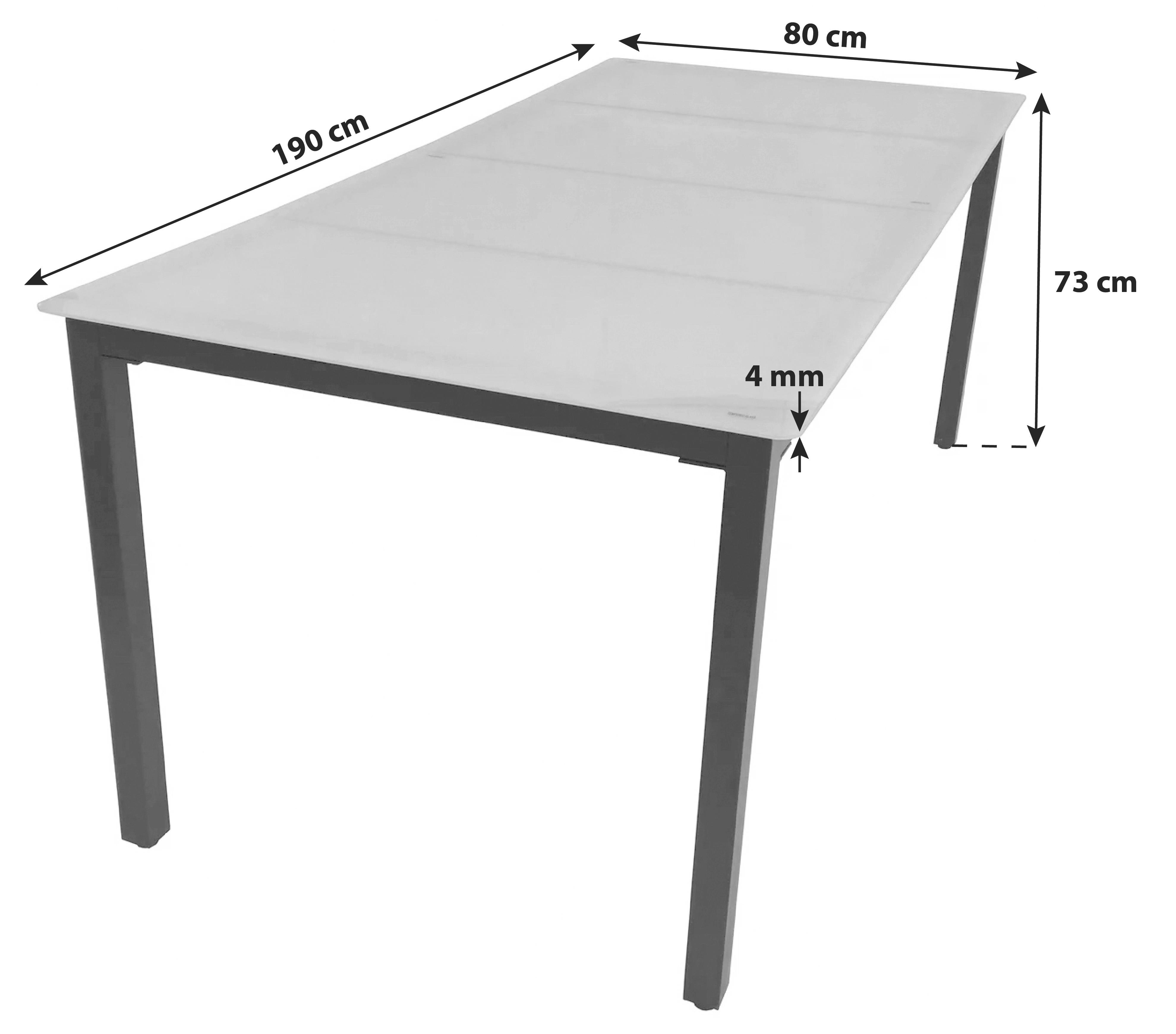 Gartentisch Metall/Glas L 190 cm - Schwarz, Basics, Glas/Metall (190/80/73cm) - Gardenson