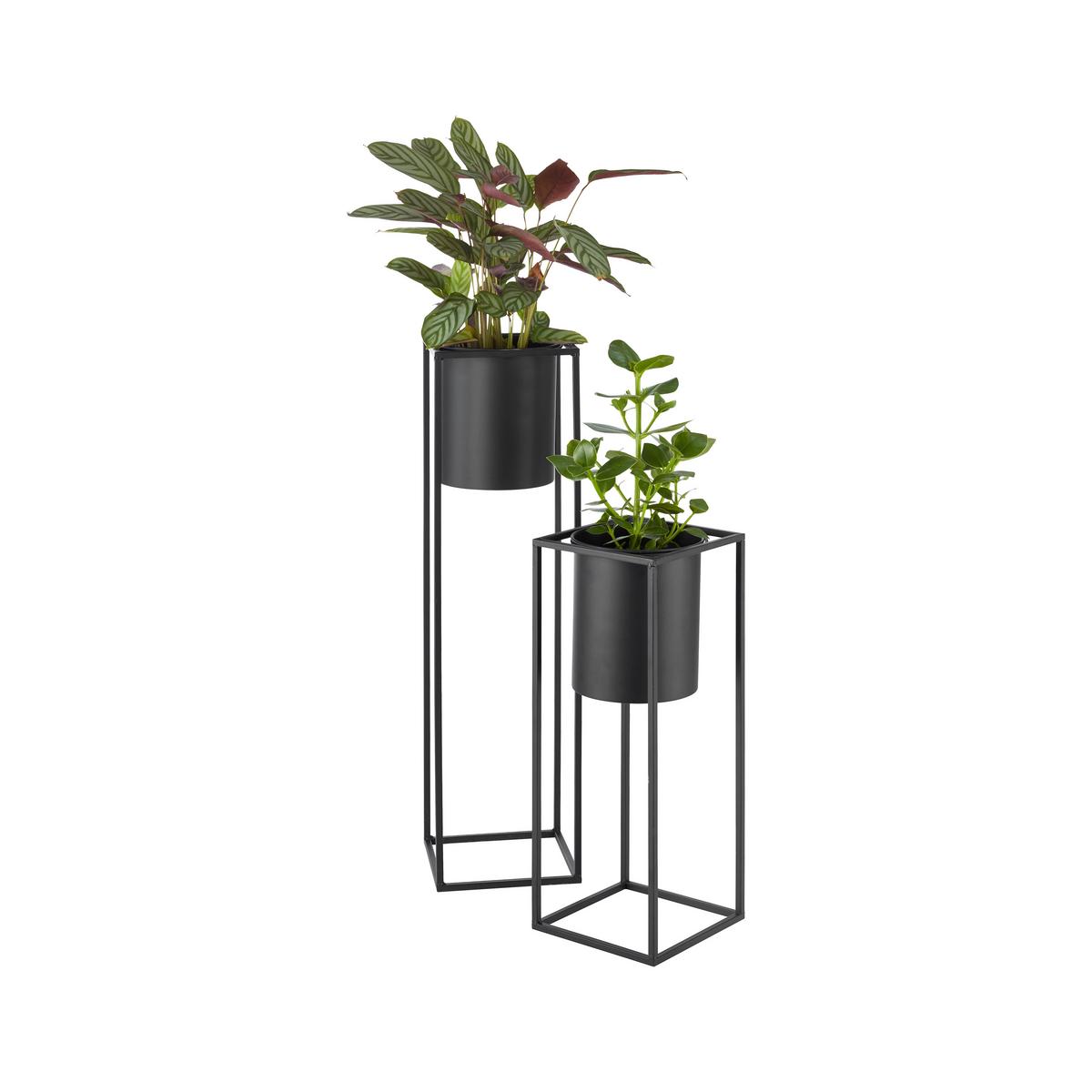 OBAL NA KVĚTINÁČ KIARA -AKT- -TOP- - černá, Lifestyle, kov (20,8/55,5cm) - Mömax