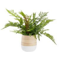 Obal na květináč Naturelle, Ø/V: 12/13cm - bílá/přírodní barvy, Konvenční, přírodní materiály (12/13cm) - Zandiara