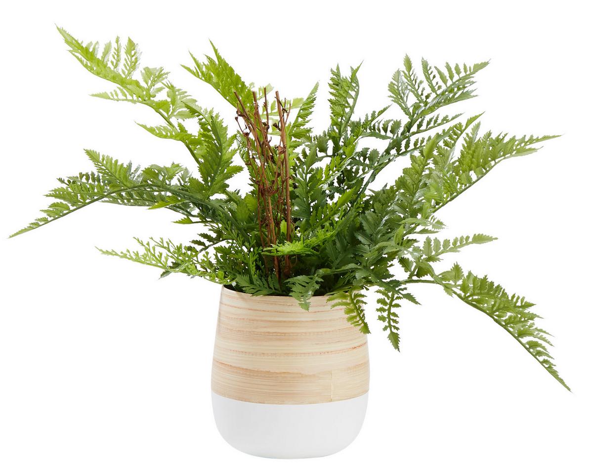 Obal na květináč Naturelle, Ø/V: 12/13cm - bílá/přírodní barvy, Konvenční, přírodní materiály (12/13cm) - Zandiara