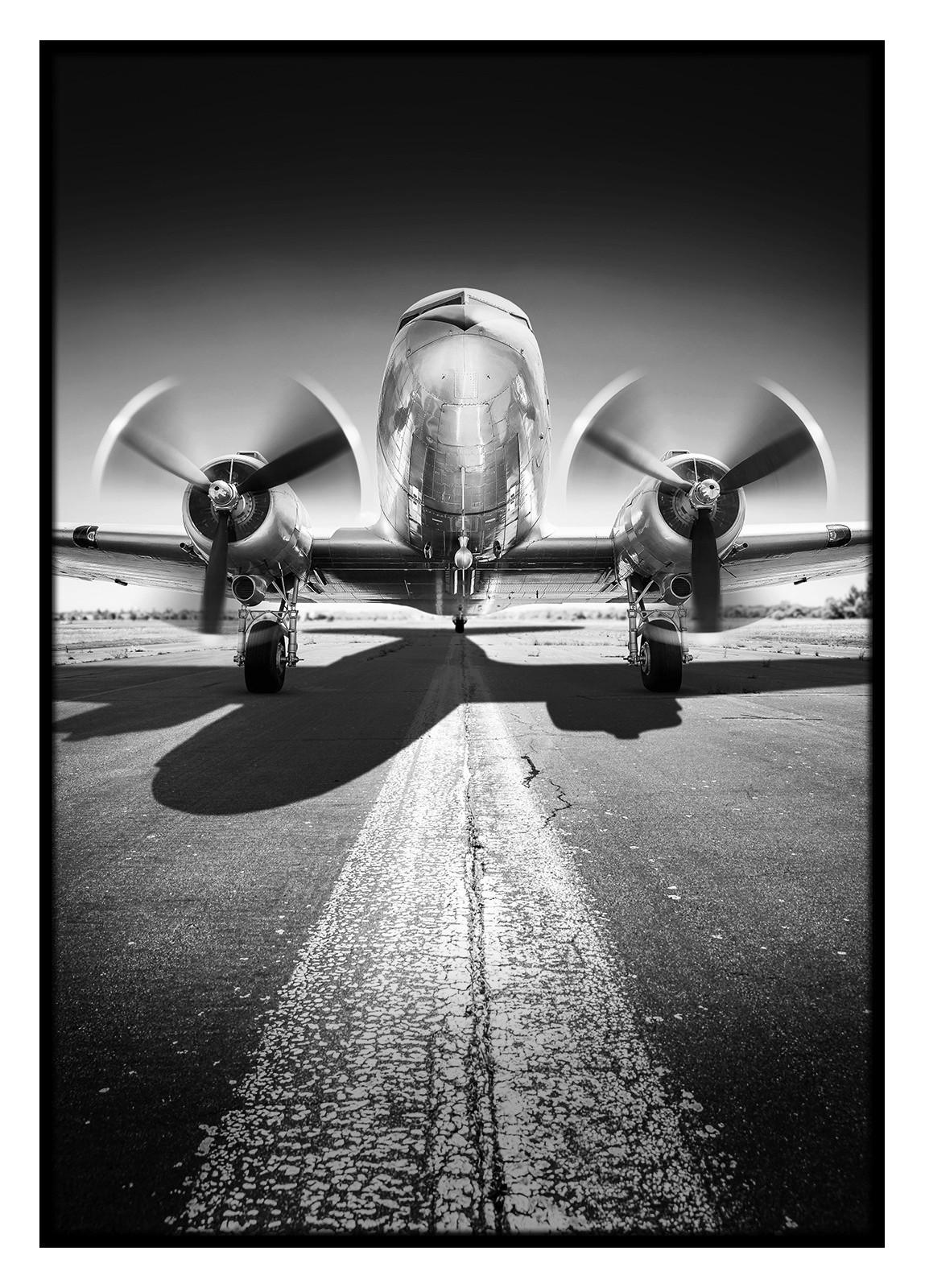 Obraz Elena, 50/70cm, čierna, biela, 50 cm, 70 cm