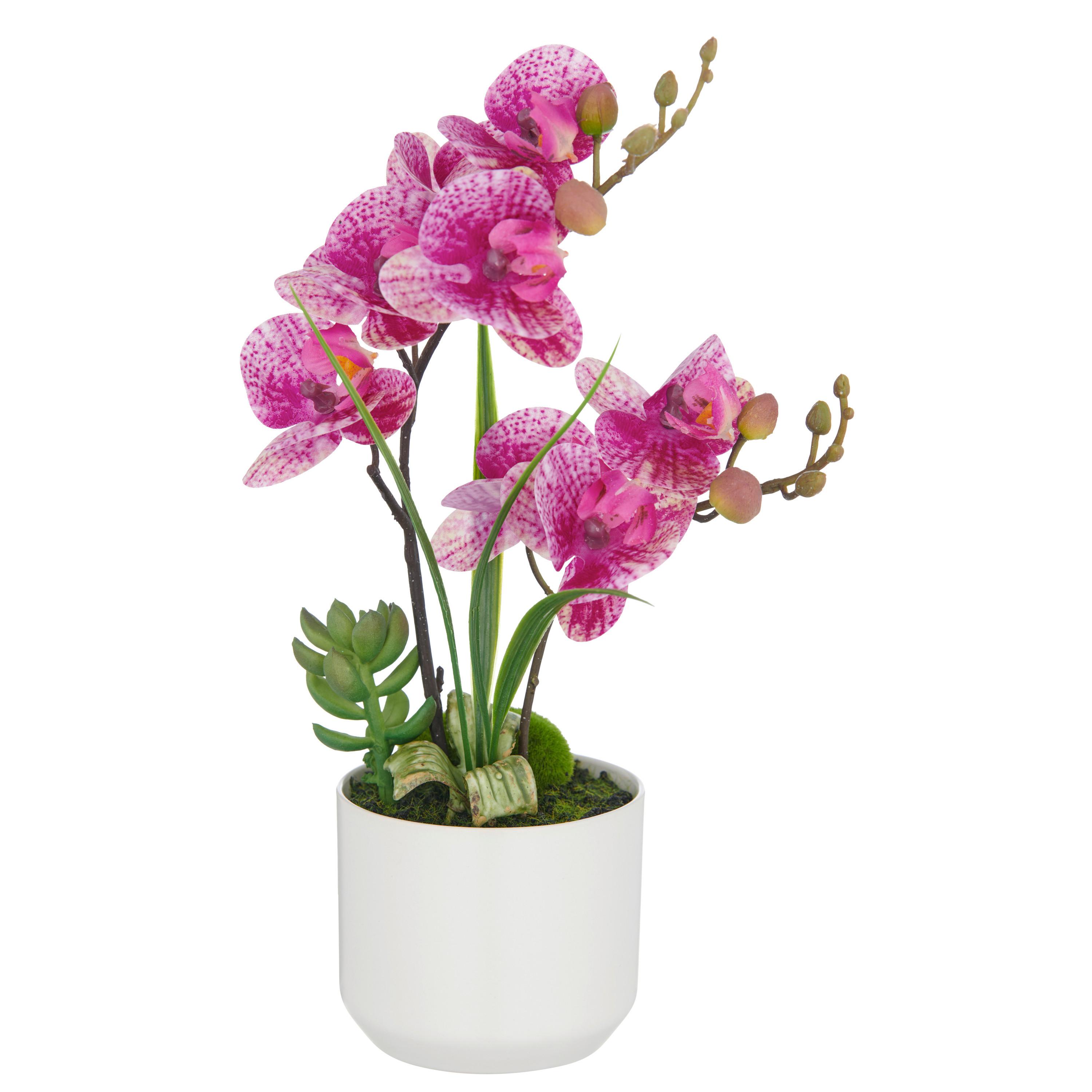 Kunstpflanze Creme Pink Braun B: 14 cm - Pink/Creme, Basics, Keramik/Kunststoff (14/38/14cm) - P & B