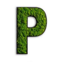 Moosbild Grün B: 25 cm - Schwarz/Grün, Basics, Naturmaterialien/Holz (25/16/4cm)