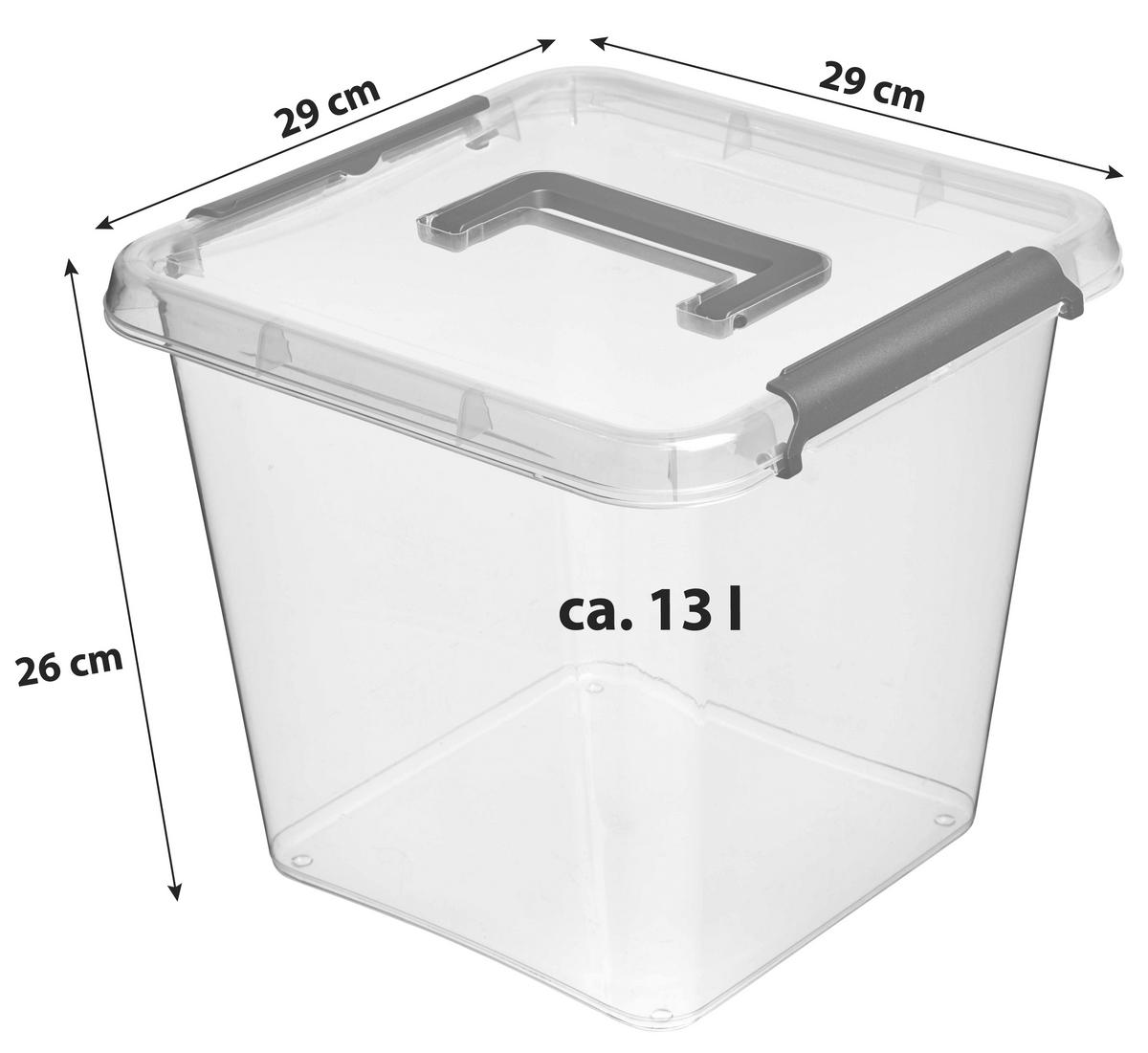 Tárolódoboz Larissa - áttetsző, Basics, műanyag (29/29/26cm)