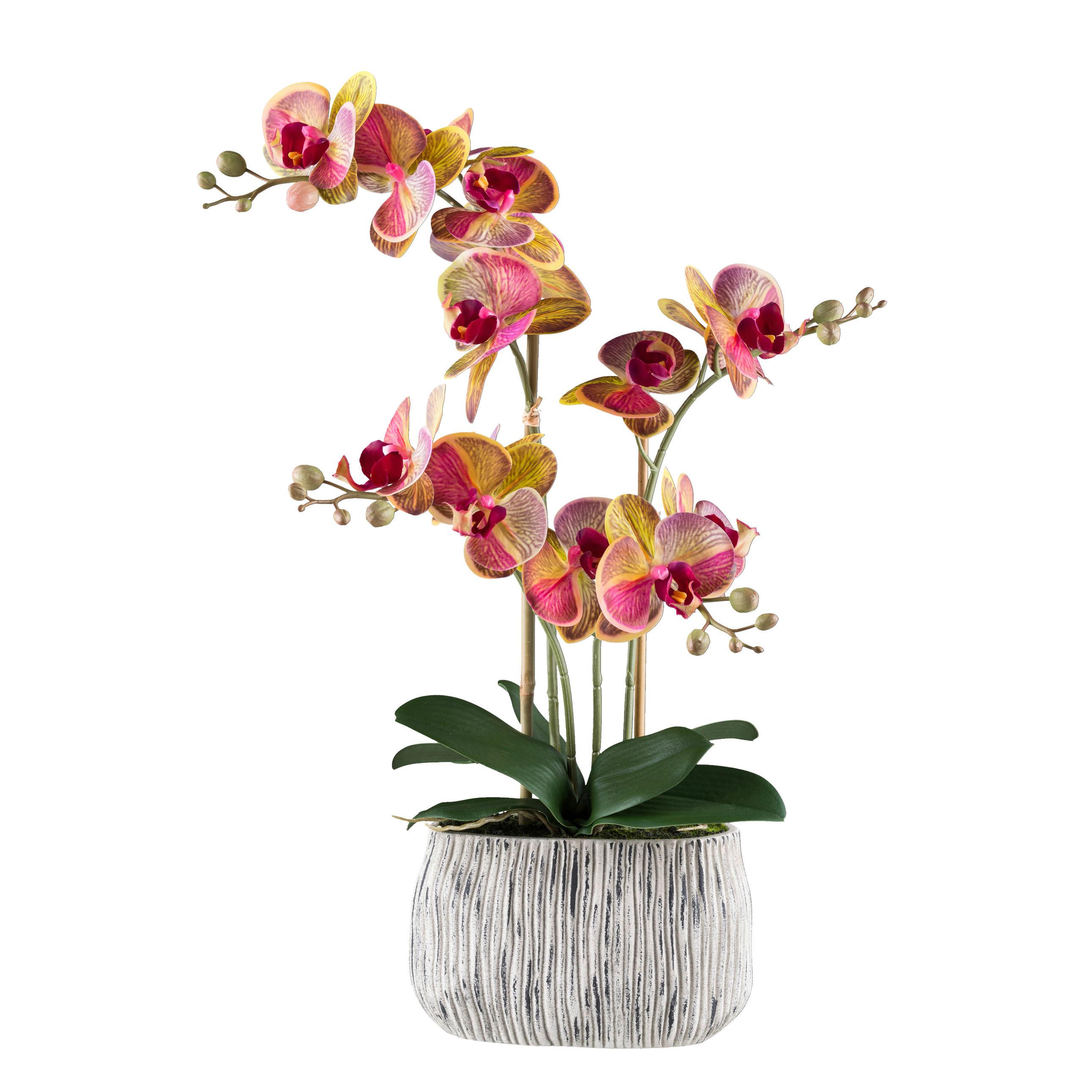 Kunstpflanze Orchideen Gelb/Grau/Grün/Pink, 56 cm - Pink/Gelb, Design, Kunststoff/Stein (56cm) - P & B
