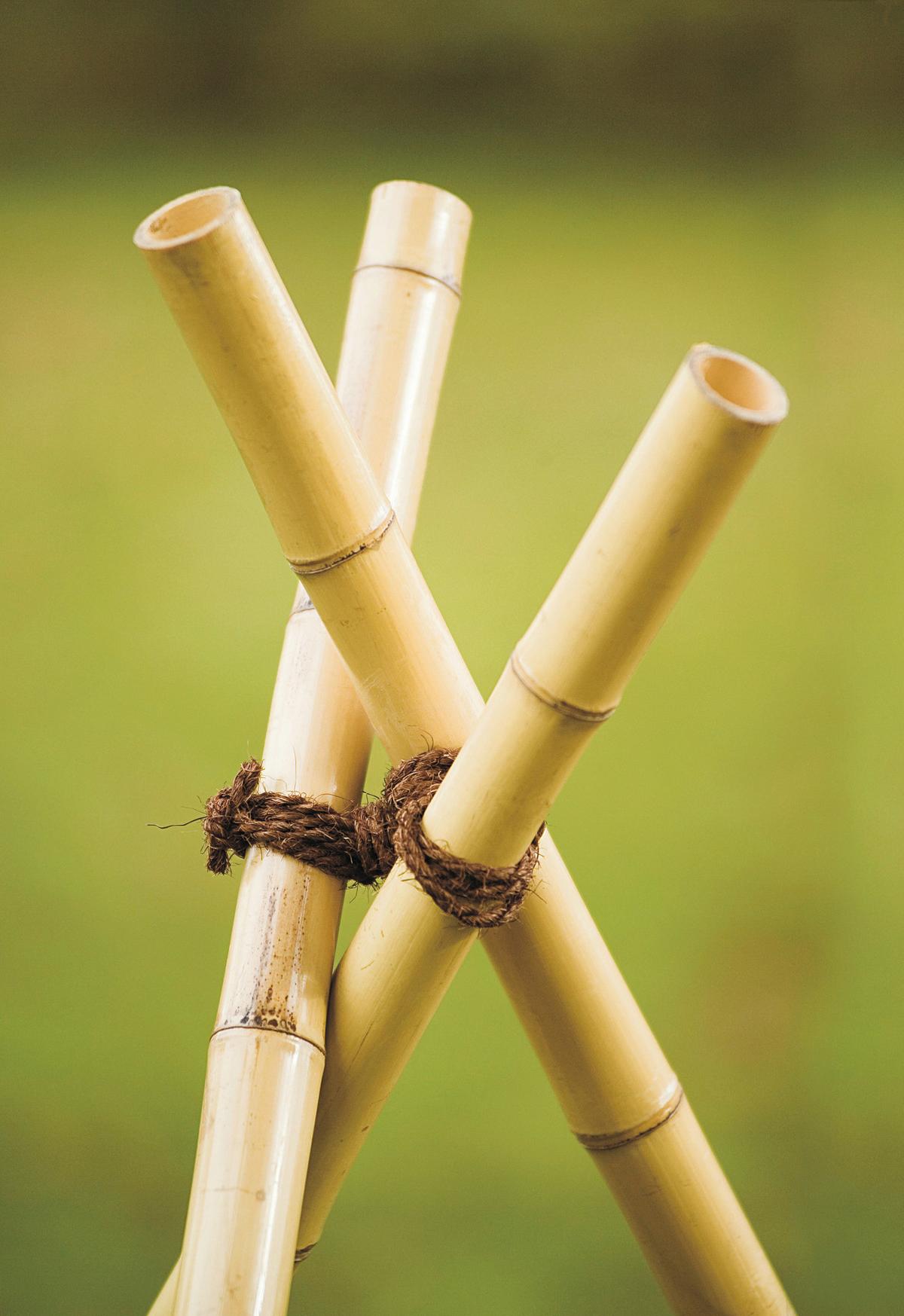 Kokosbaumanbinder Dxh: 0,6x100 M - Braun, Basics, Textil (0,6/10000cm) - Windhager