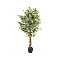 Kunstpflanze Ficus - Schwarz/Braun, Basics, Kunststoff (80/165/80cm) - MID.YOU