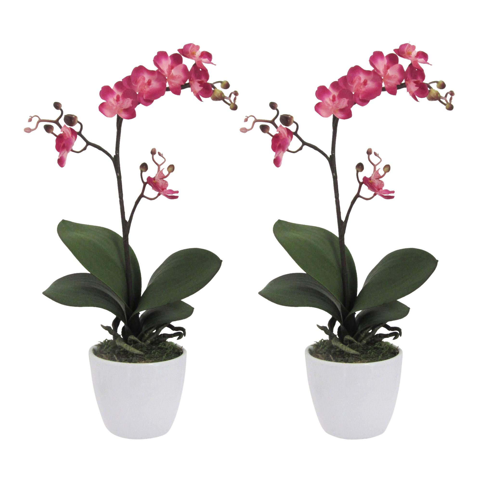 Kunstpflanze Orchideen Rosa, Topf: Weiß, H: 55 cm - Rosa/Weiß, Design, Keramik/Kunststoff (55cm) - P & B