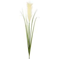 Kunstblume Pampasgras Creme L: 78cm, Dafina - Creme, Natur, Kunststoff (78cm)