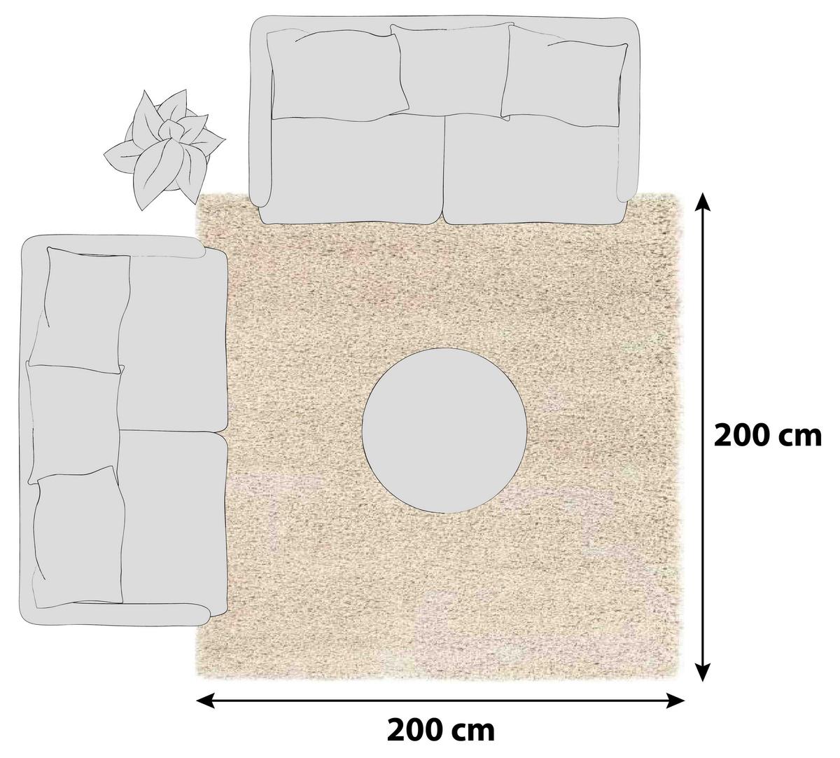 Hochflorteppich Fashion Shaggy Beige 200x200 cm - Beige, Basics, Textil (200/200cm) - Novel
