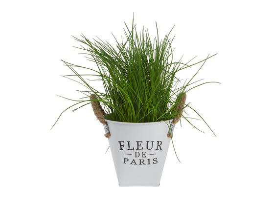 Kvetináč Fleur De Paris - biela, Romantický / Vidiecky, kov (15cm) - Mömax modern living Kvetináč Fleur De Paris - biela, Romantický / Vidiecky, kov (15cm) - Mömax modern living