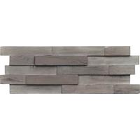 Wandverkleidung Driftwood Hevea Salias Sea - Grau, Basics, Holz (56/20/2cm)