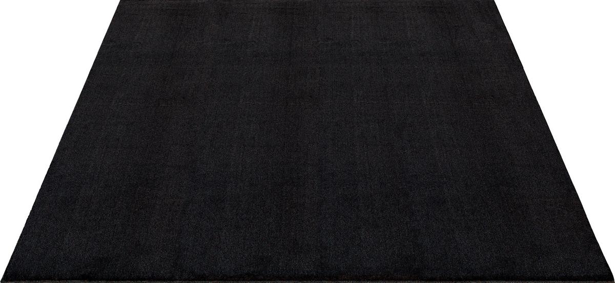 Fellteppich Loft - Schwarz, KONVENTIONELL, Textil (120/160cm)