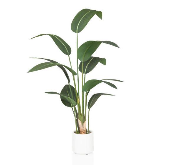 KUNSTPFLANZE Strelitzia Grün B: 22cm - Weiß/Grün, MODERN, Kunststoff (22/150/31cm) - MID.YOU