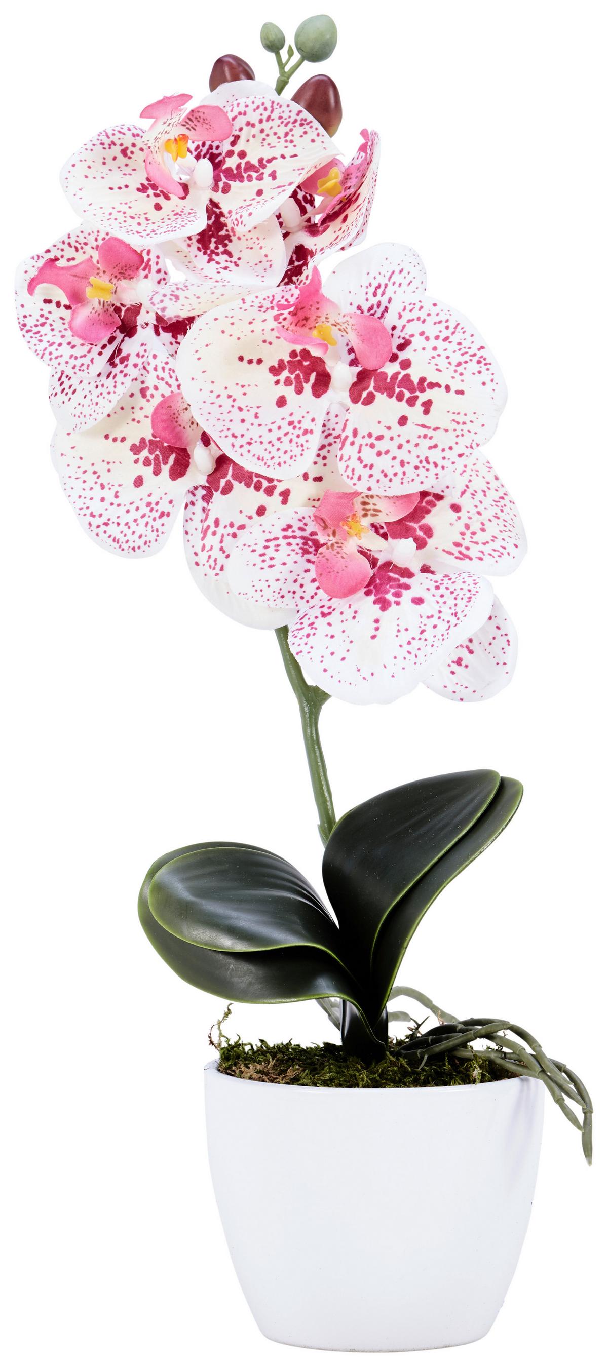 Kunstpflanze Orchidee Bunt H: 40 cm Im Topf, Sofie - Lila/Weiß, KONVENTIONELL, Keramik/Kunststoff (40cm)