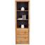 REGAL Tizio - Eichefarben/Silberfarben, MODERN, Holzwerkstoff (63/206/41cm) REGAL Tizio - Eichefarben/Silberfarben, MODERN, Holzwerkstoff (63/206/41cm)