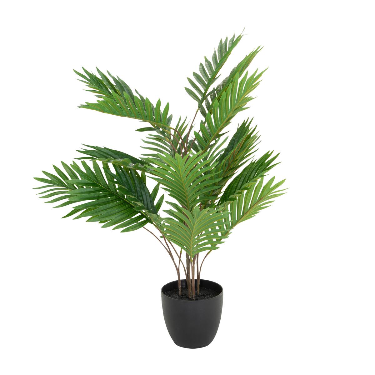Kunstpflanze Areca - Schwarz/Braun, Basics, Kunststoff/Textil (60/70/60cm) - MID.YOU