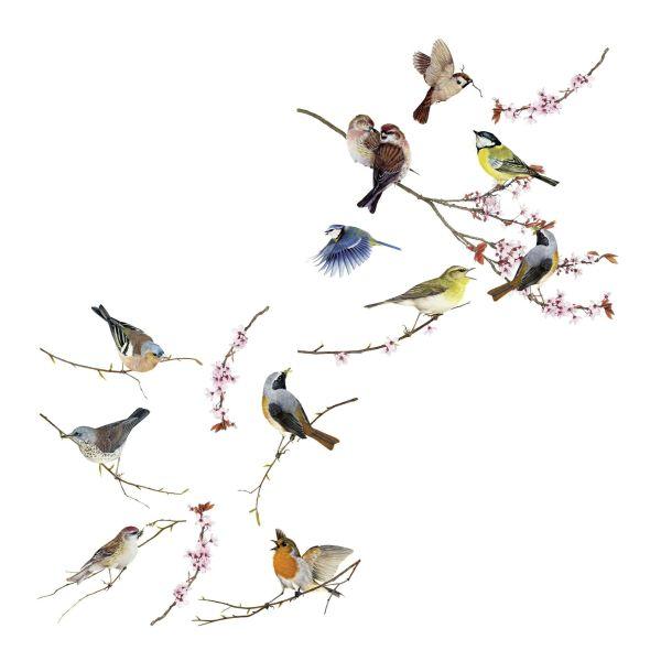 Fensterbild Birds - Multicolor, Natur, Kunststoff (31/31cm)