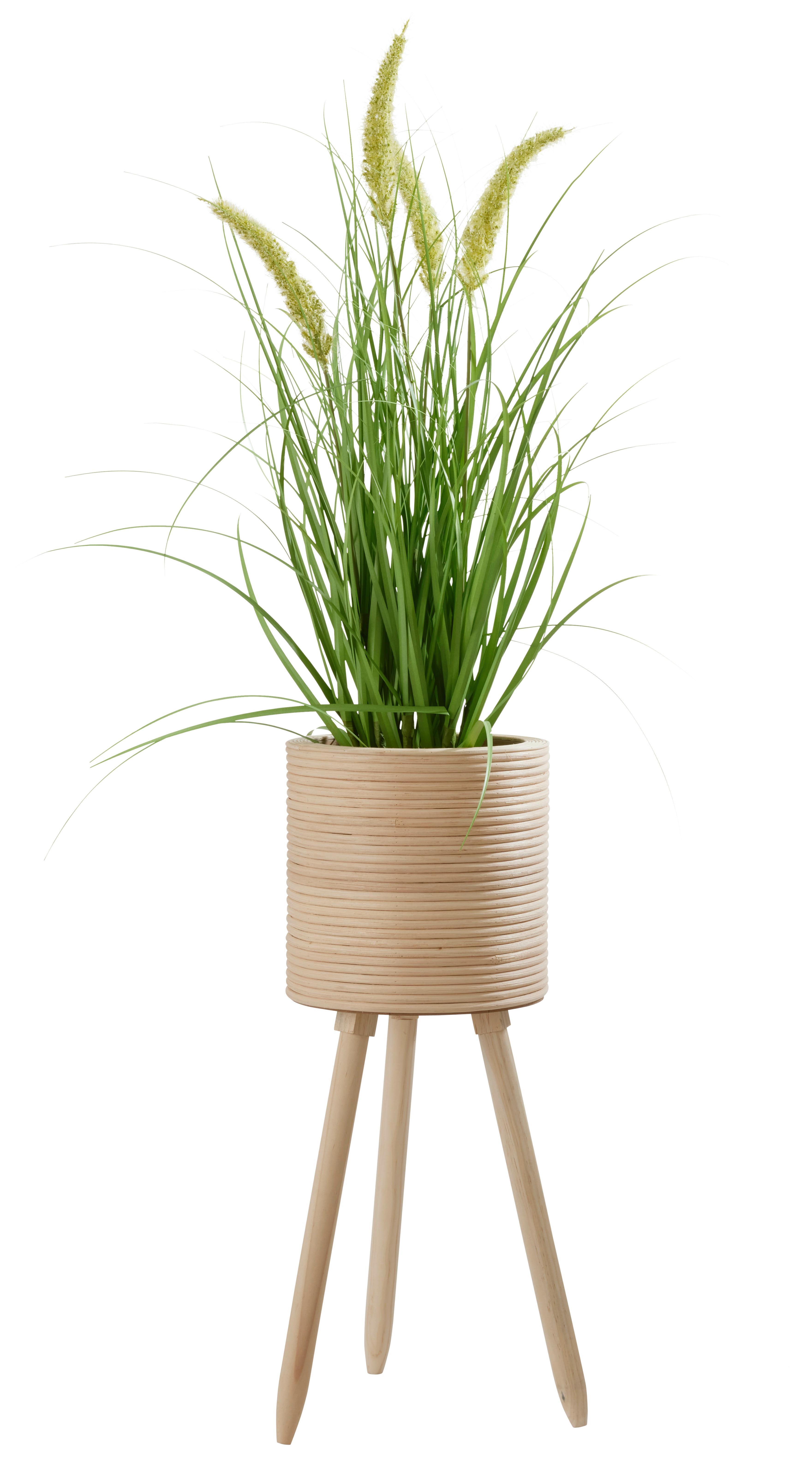 Obal Na Květináč Bamboo, V: 56cm - přírodní barvy, dřevo (21,5/56cm) - Premium Living