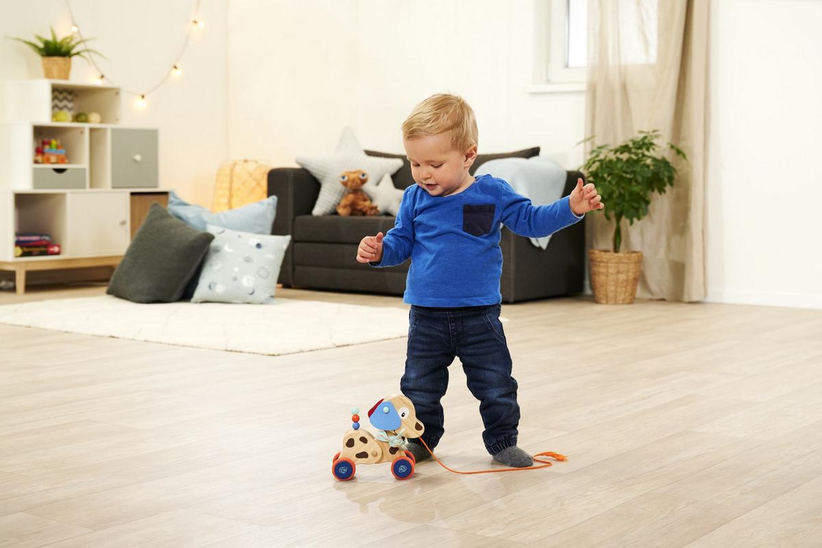 Nachziehtier Hund geräuschlos - Multicolor, Basics, Holz/Kunststoff (9/17,5/17cm) - Simba