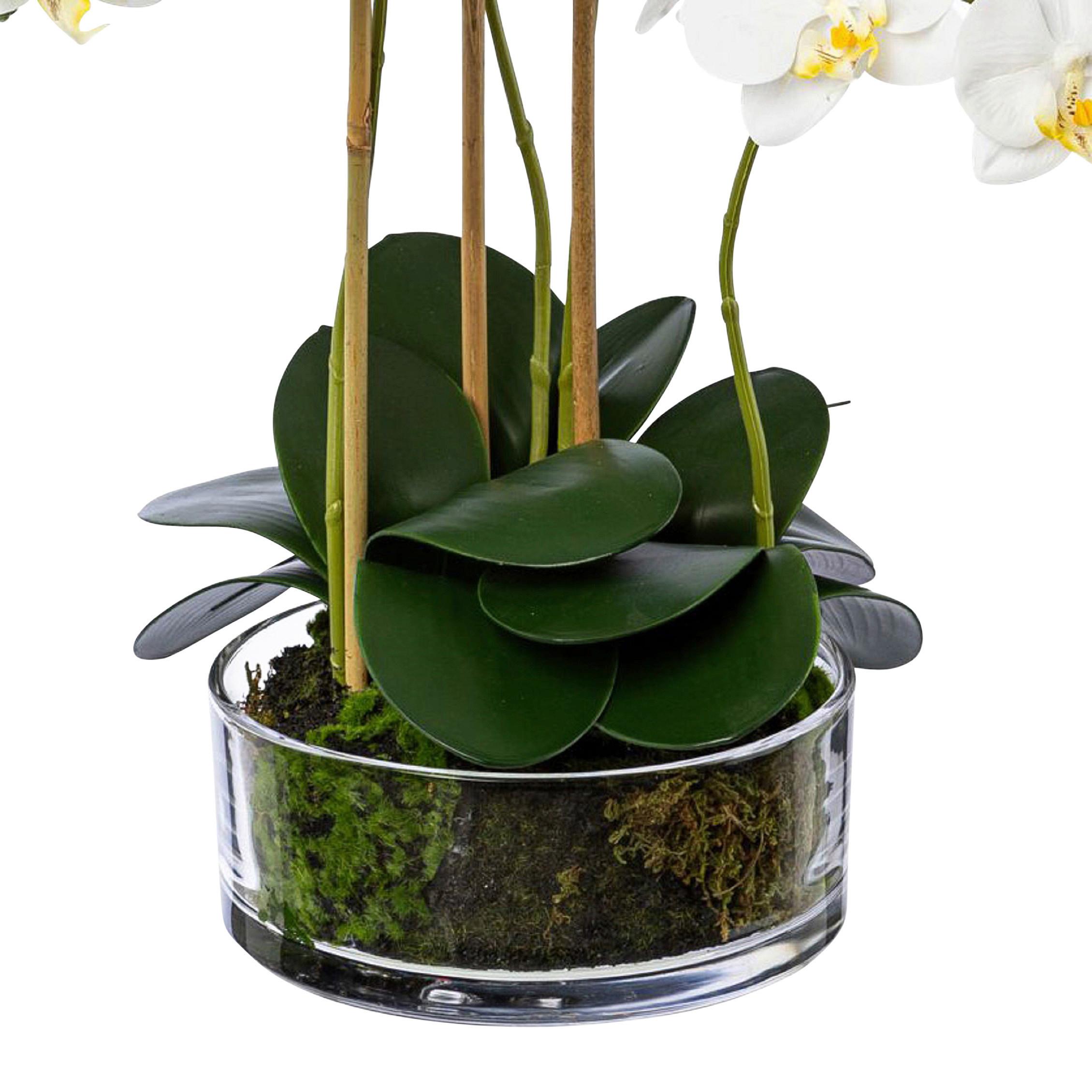 Kunstpflanze Orchidee Weiß, Topf: Glas, H: 50 Cm - Transparent/Weiß, Design, Glas/Kunststoff (50cm) - P & B