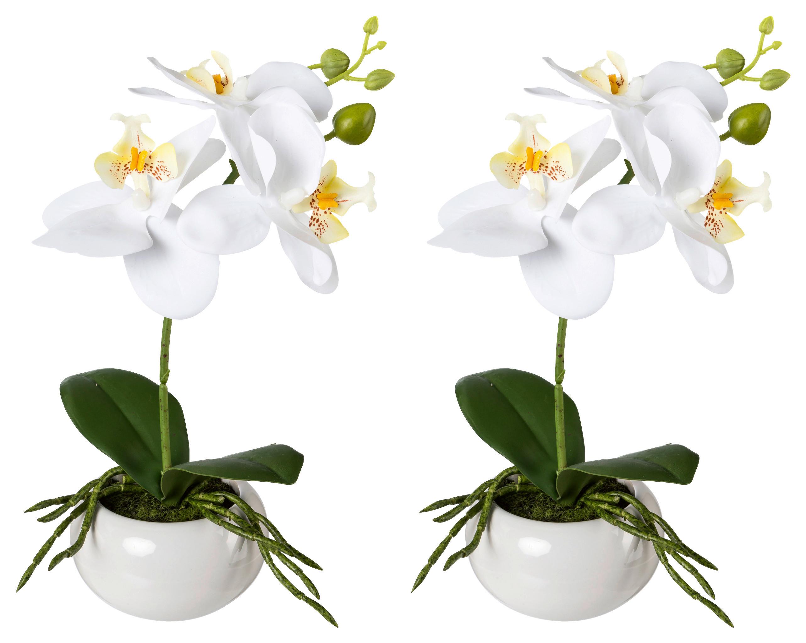 Kunststoff Orchideen Weiß, inkl. Topf: H: 27 cm - Weiß/Grün, Design, Keramik/Kunststoff (27cm) - P & B