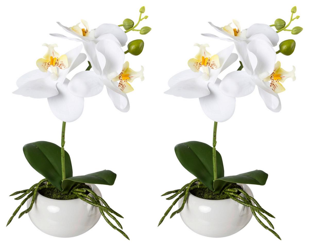 Kunststoff Orchideen Weiß, inkl. Topf: H: 27 cm - Weiß/Grün, Design, Keramik/Kunststoff (27cm) - P & B