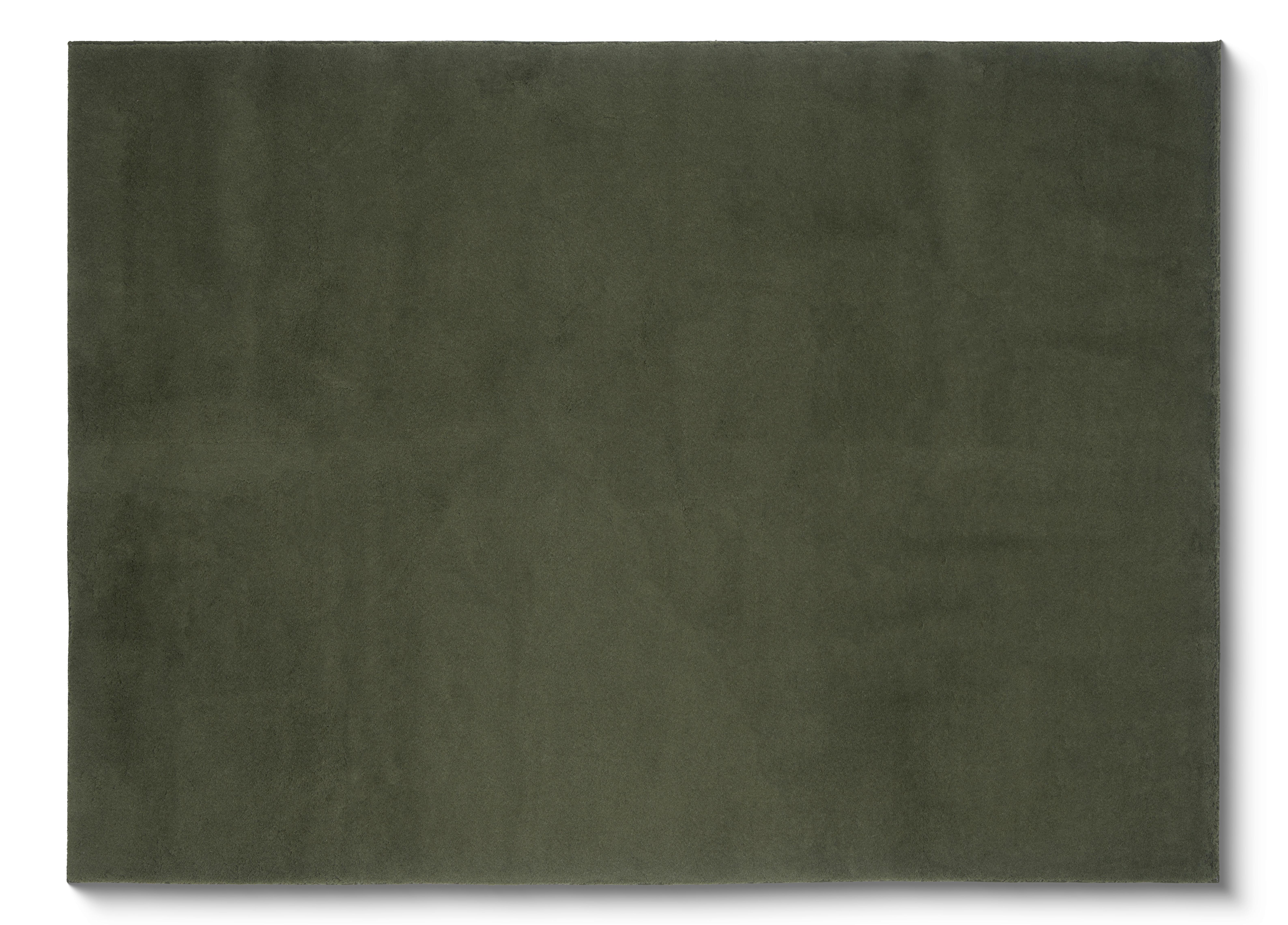Fellteppich Melisander Grün 100x150 Cm - Grün, Basics, Textil (100/150cm) - Luca Bessoni
