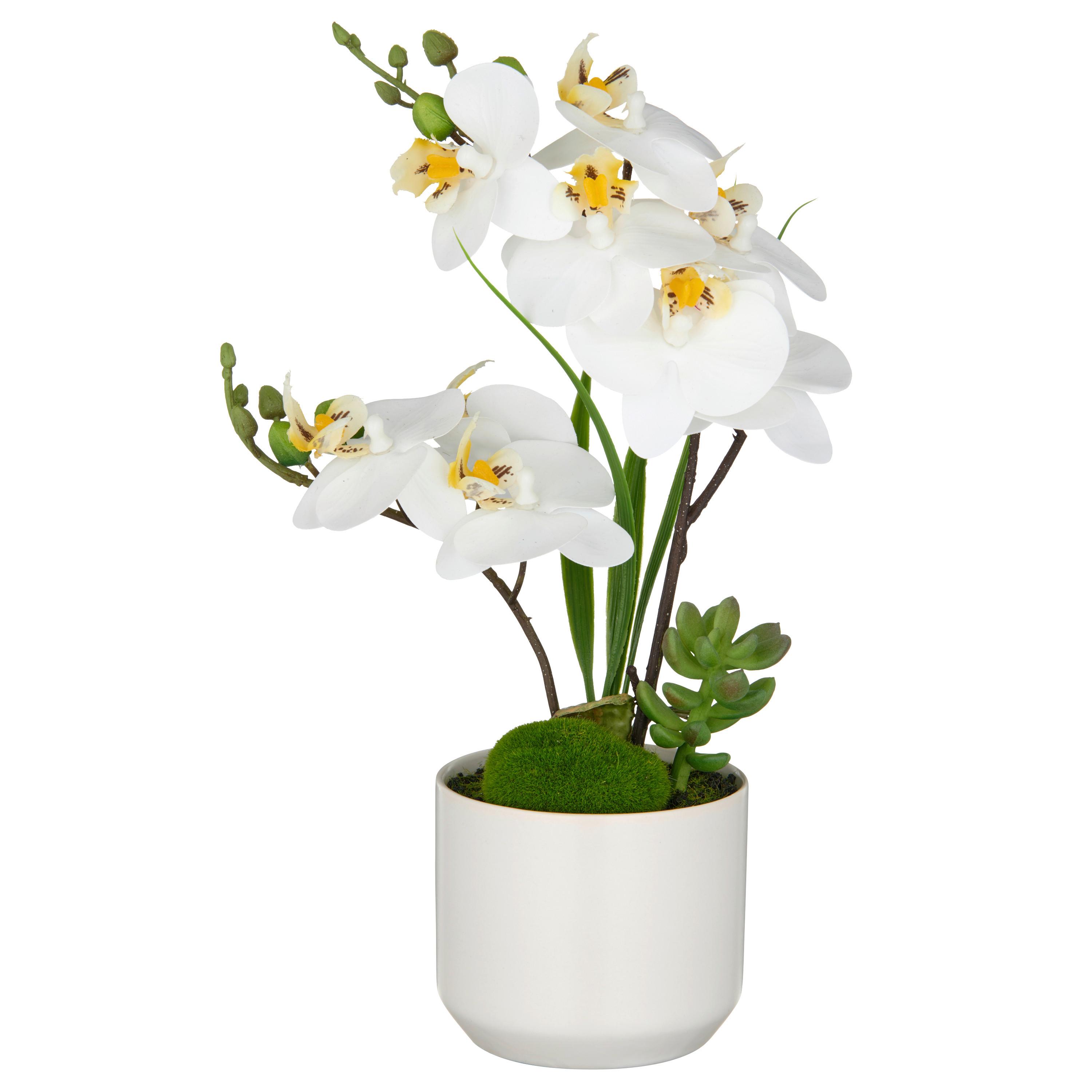 KUNSTPFLANZE Weiß Braun B: 14 cm - Weiß/Braun, Basics, Keramik/Kunststoff (38cm)