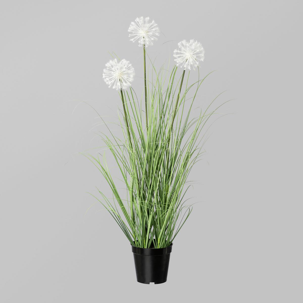 Kunstpflanze Grün/weiß H: 78 Cm Mit Topf Daisy - Schwarz/Weiß, MODERN, Kunststoff (78cm) - P & B