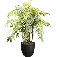 Kunstpflanze Farn H: 60 cm - Schwarz/Braun, Design, Kunststoff (60cm) - P & B
