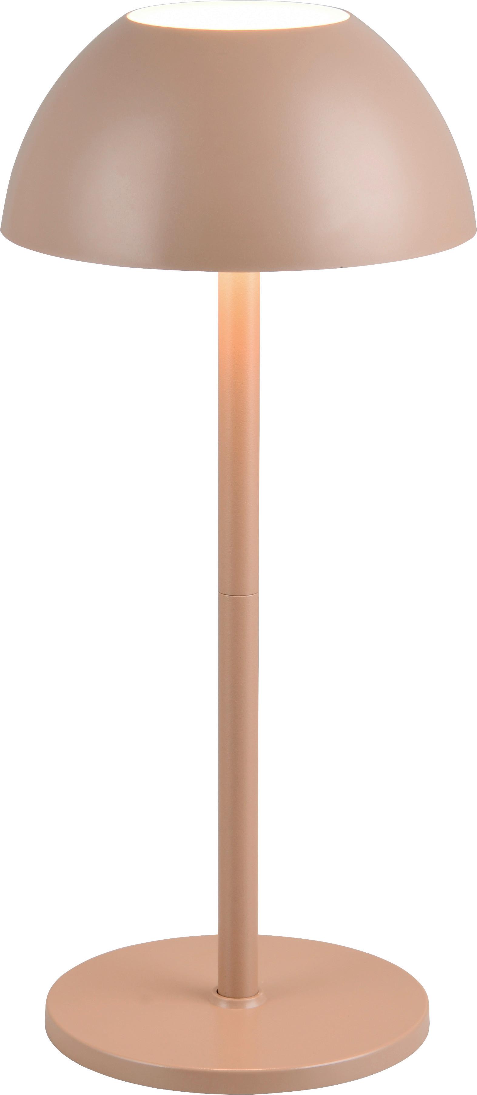 Akku-Tischleuchte Ricardo Braun D: 30 cm - Braun, Basics, Kunststoff (30,0/13,5cm)