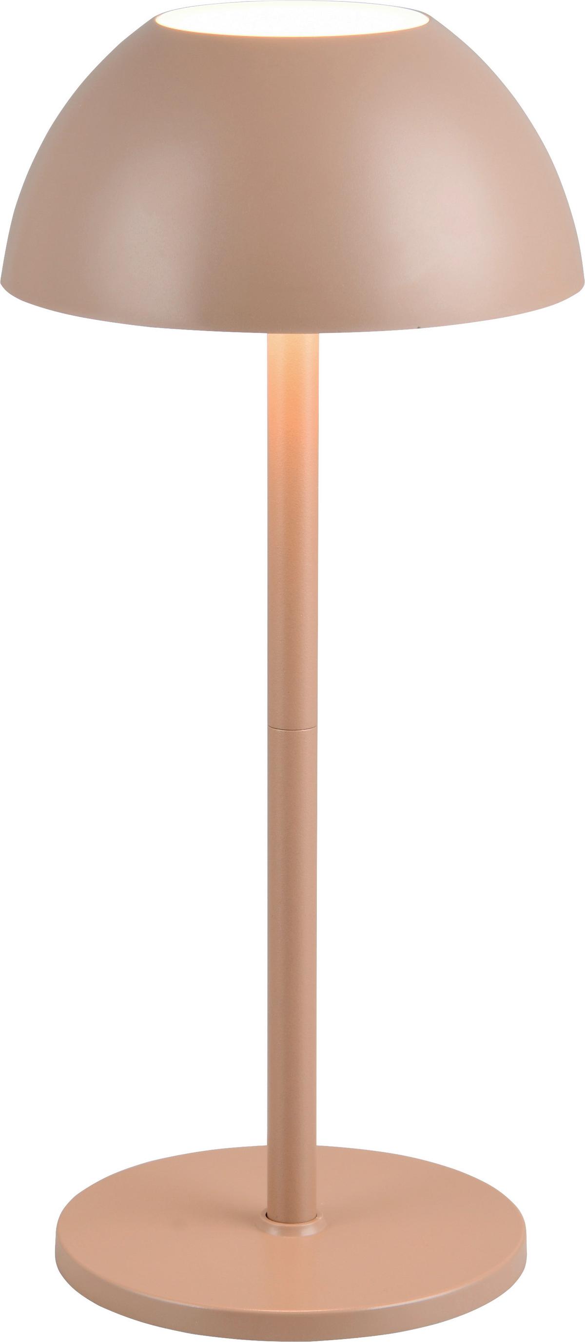 Akku-Tischleuchte Ricardo Braun D: 30 cm - Braun, Basics, Kunststoff (30,0/13,5cm)