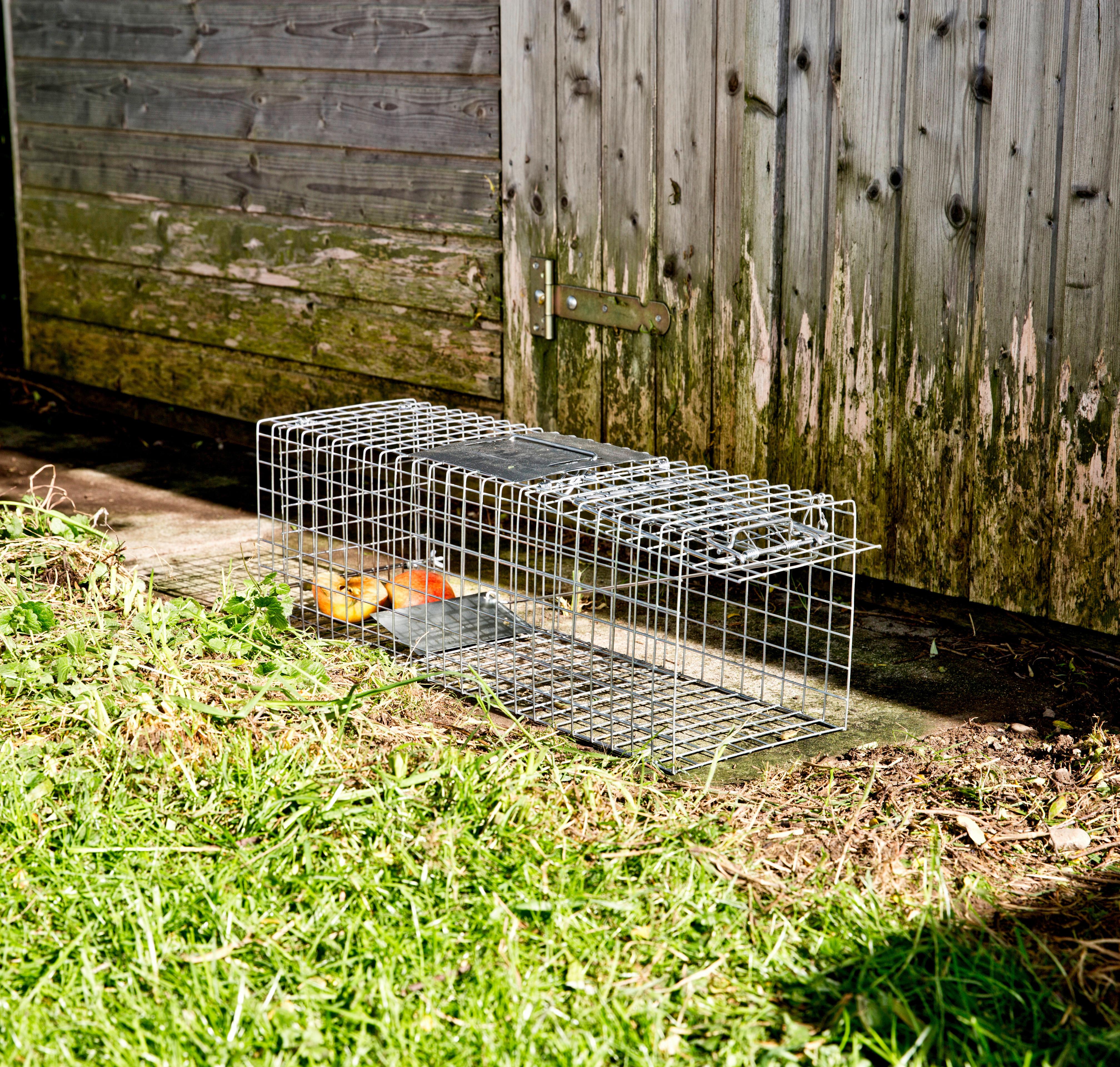 Marderfalle Lebendfalle Metall 60x18x20 Cm - Alufarben, Basics, Metall (60/18/20cm)