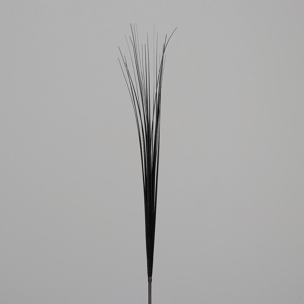 Kunstpflanze Graszweig Schwarz L: 85 Cm, Aglaia - Schwarz, Basics, Kunststoff (85cm)