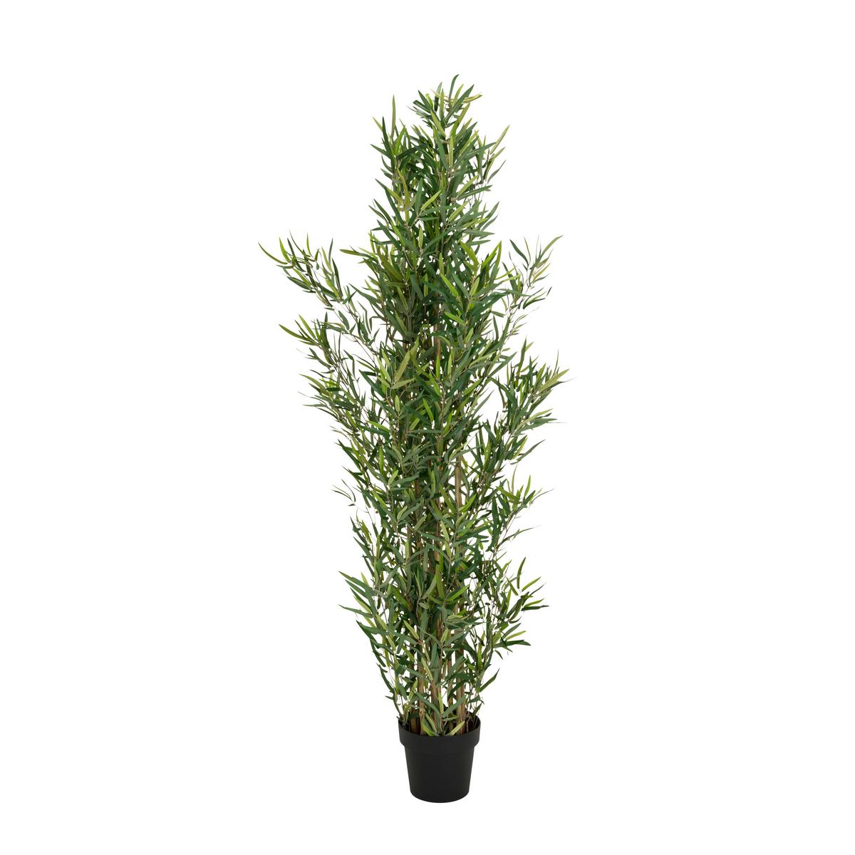 Bambus Bambus - Schwarz/Grün, Basics, Kunststoff/Textil (70/165/70cm) - MID.YOU