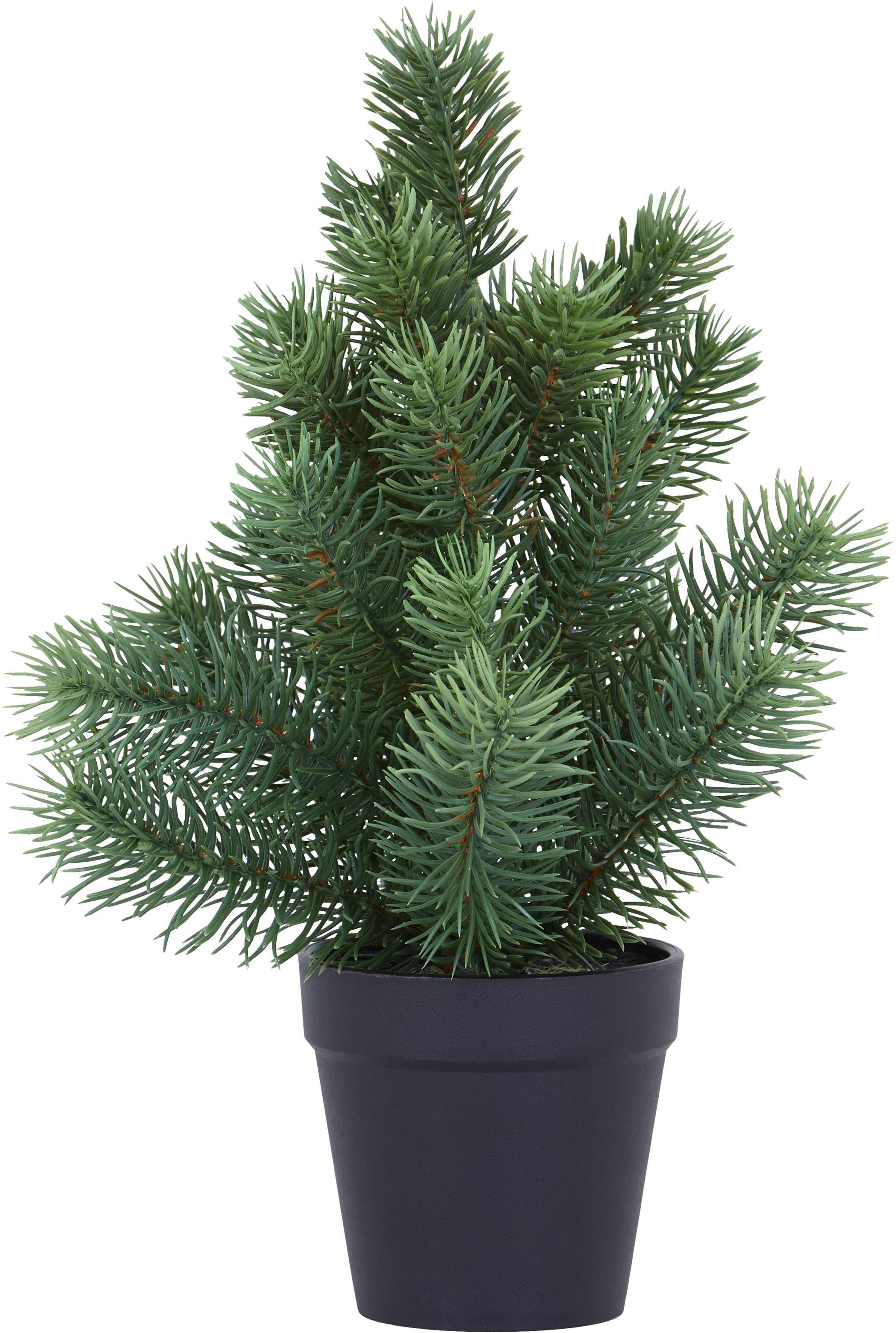 Kunstblume Weihnachtliche Pflanzen - Braun/Grün, KONVENTIONELL, Kunststoff (30cm)