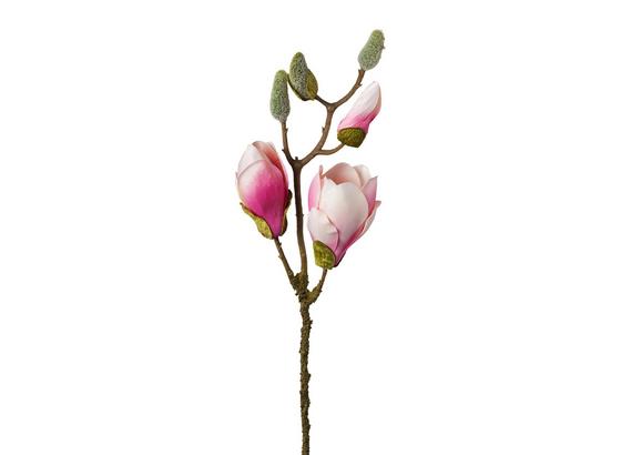 Umelá Kvetina Magnolie - hnedá/zelená, Basics, plast (43cm) Umelá Kvetina Magnolie - hnedá/zelená, Basics, plast (43cm)