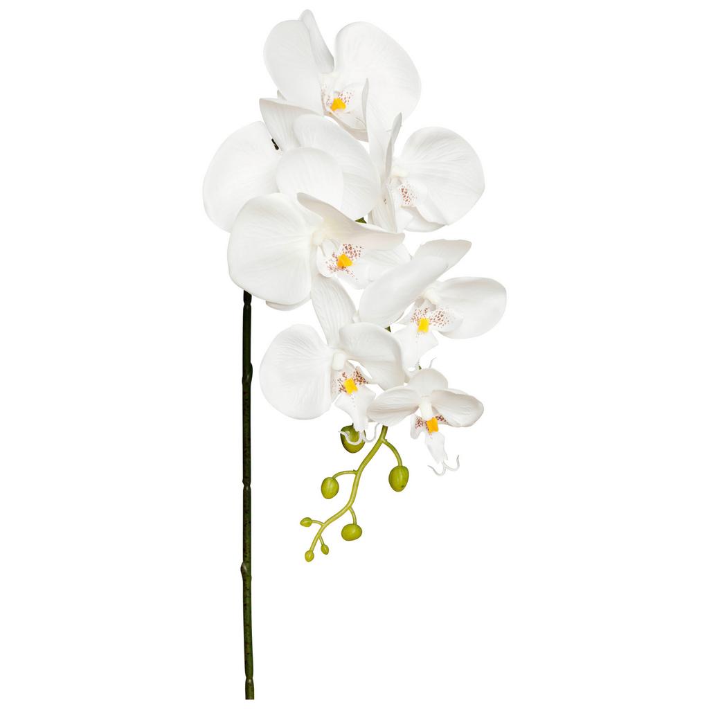 Kunstpflanze Orchidee Weiß L: 86 Cm, Ria