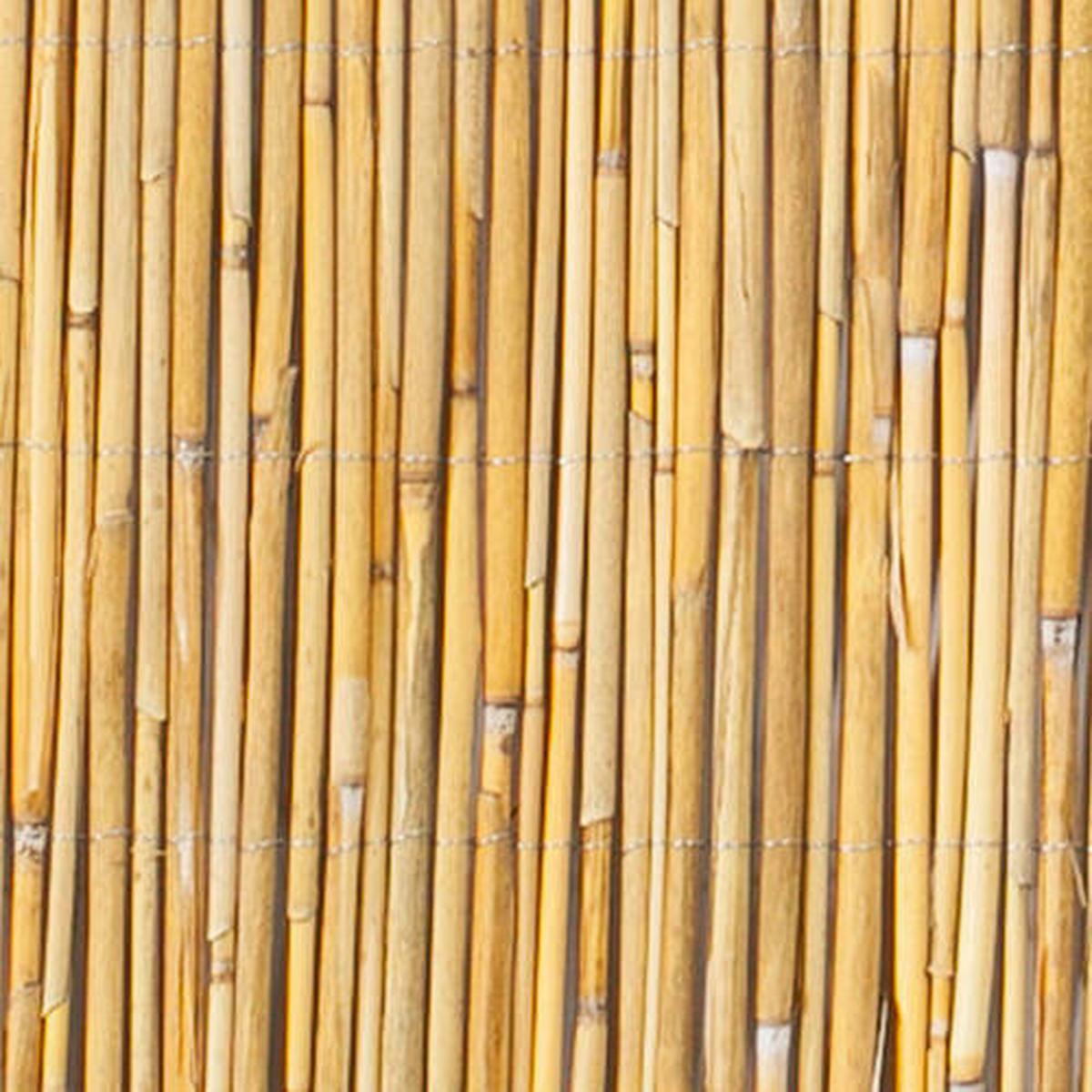 Sichtschutz Nantai Natur Schilf 600x100 cm - Naturfarben, Basics, Naturmaterialien (600/100cm)