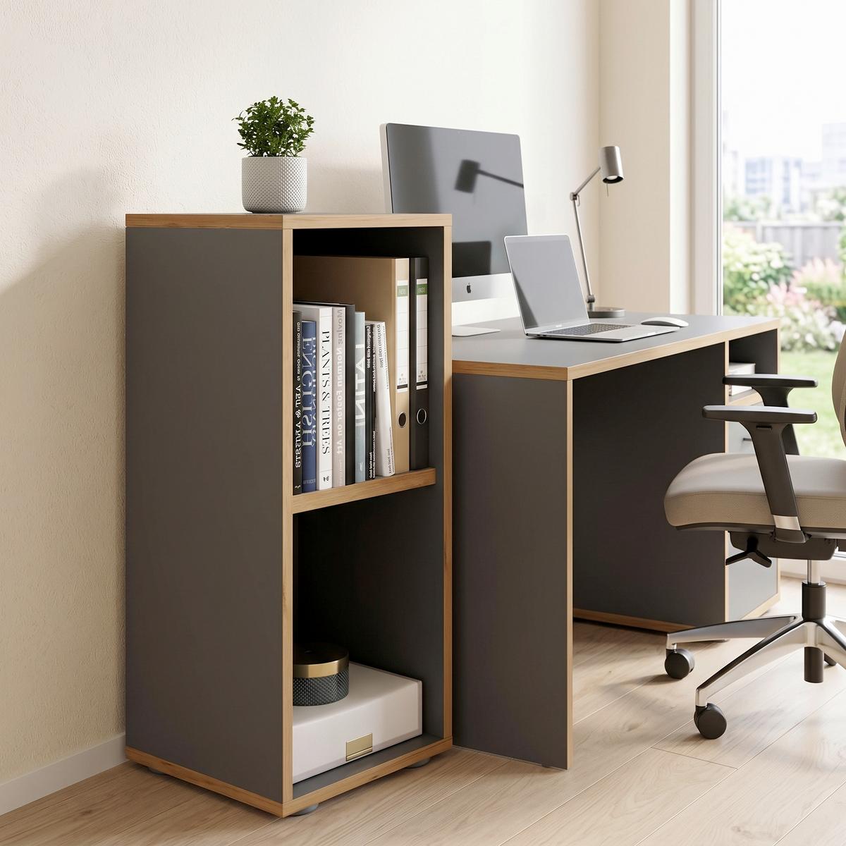 Regal Salia Anthrazit, Honigeiche B: 30 cm - Honigeiche/Anthrazit, Design, Holzwerkstoff (30/74/33cm) - P & B