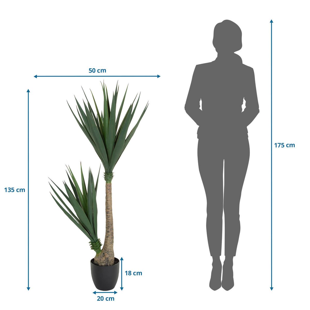 Kunstpflanze Yucca - Schwarz/Braun, Basics, Kunststoff (50/135/50cm) - MID.YOU