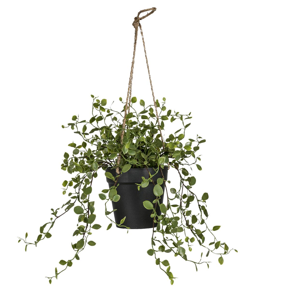 Umelá rastlina MÜHLENBECKIAAMPEL II -PAZ- - zelená, Basics, kov/plast (31cm) - Mömax