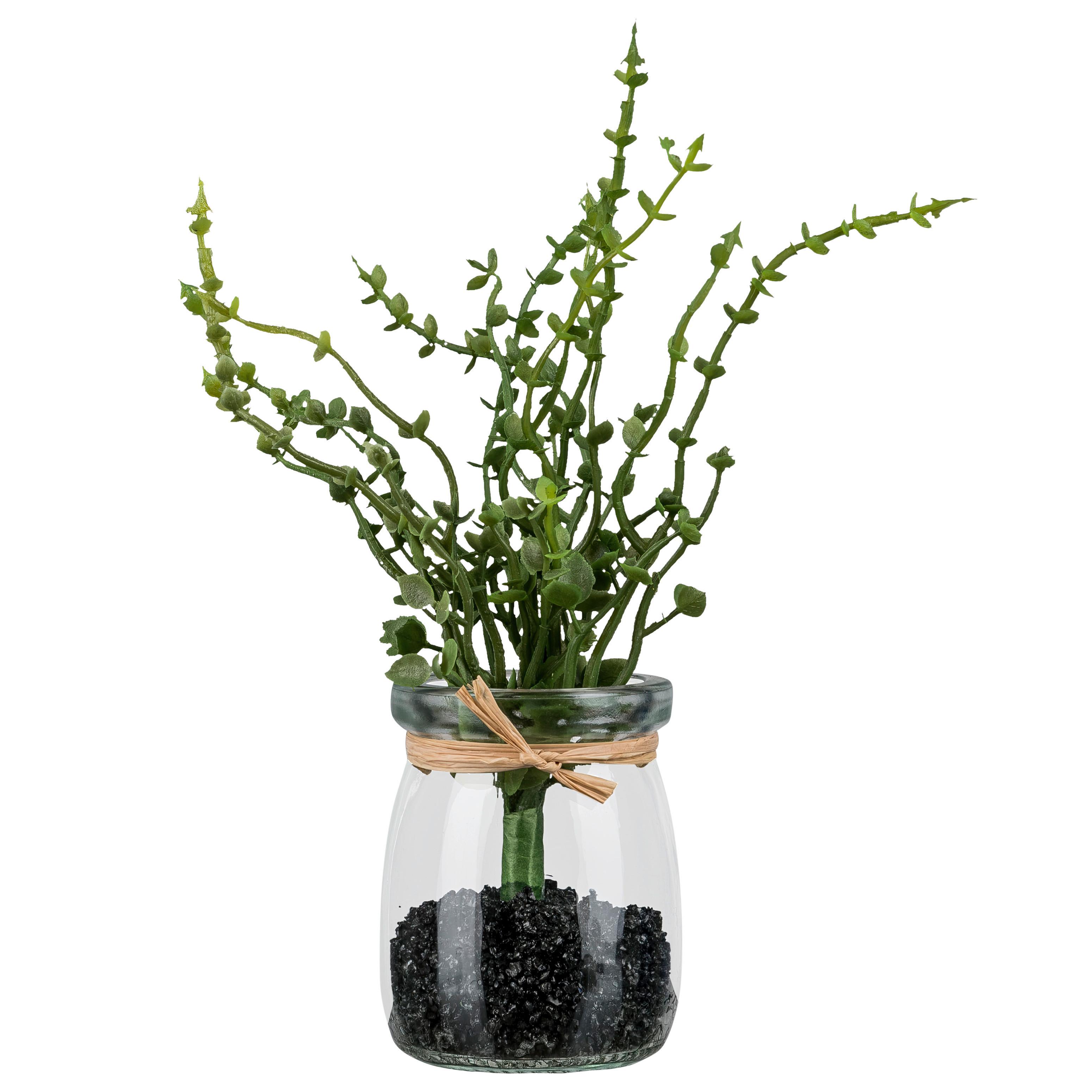 Umělá rostlina OREGANO II - zelená/čiré, Konvenční, plast/sklo (18cm) - Mömax