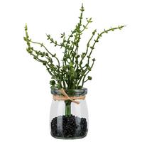 Umelá rastlina OREGANO II - hnedá/číra, Konventionell, plast/sklo (18cm) - Mömax